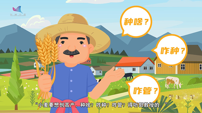 郭天财:四十六年如一日 为小麦高产“问诊把脉” 郭天财:四十六年如一日 为小麦高产“问诊把脉”